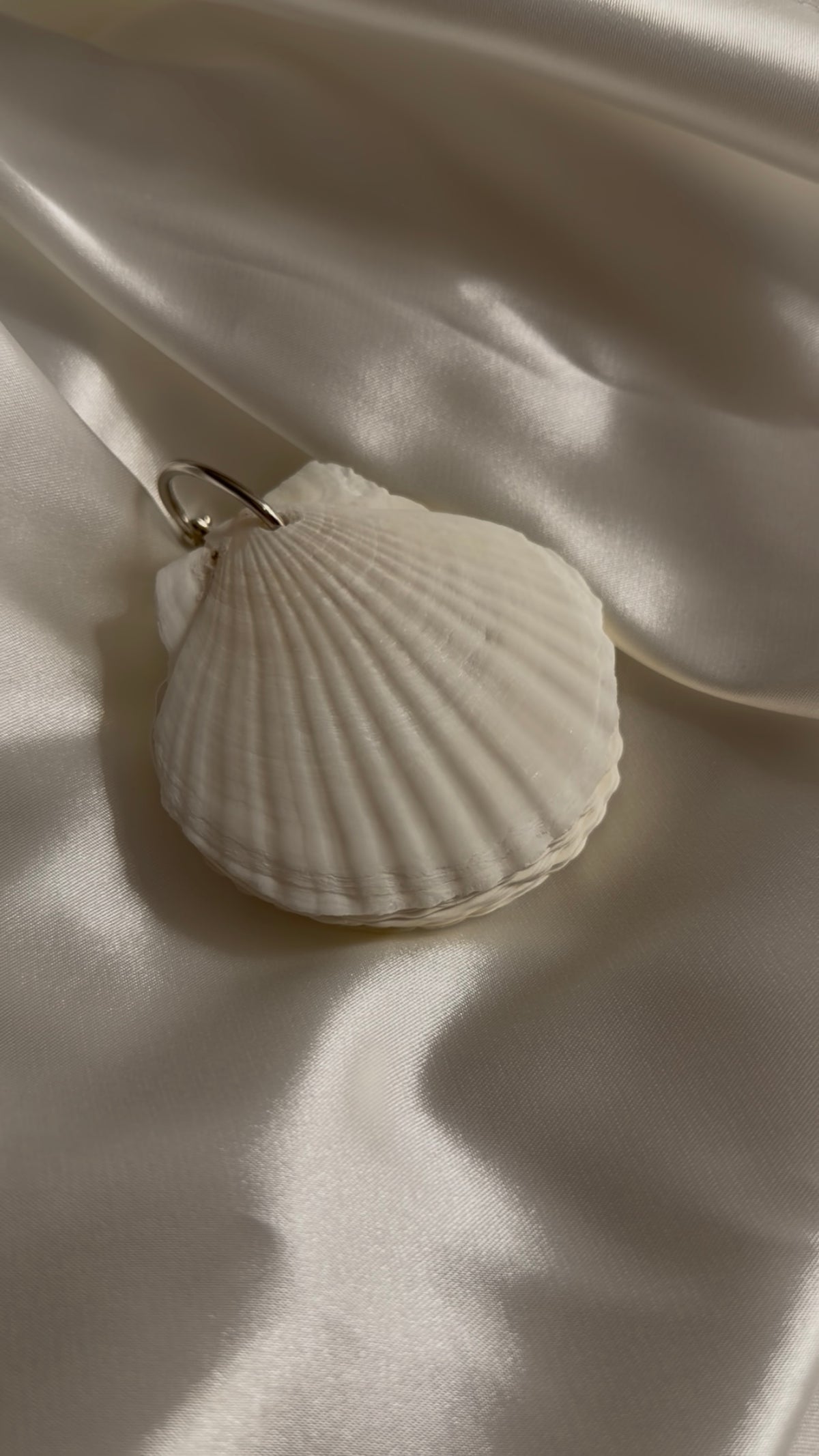 Shell Notebook